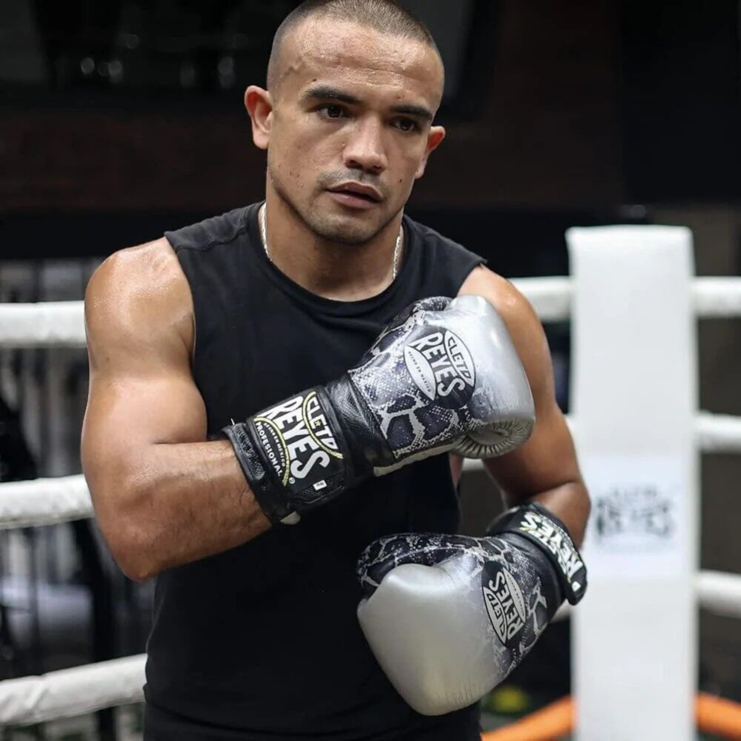 CLETO REYES Silver/Black Steel Snake Boxing Gloves
