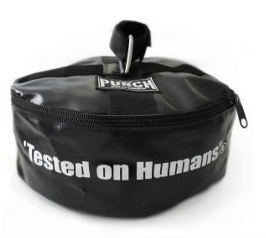 Punch Floor To Ceiling Ball Anchor