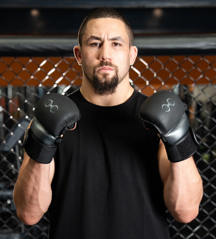 Sting Taipan MMA Sparring Gloves
