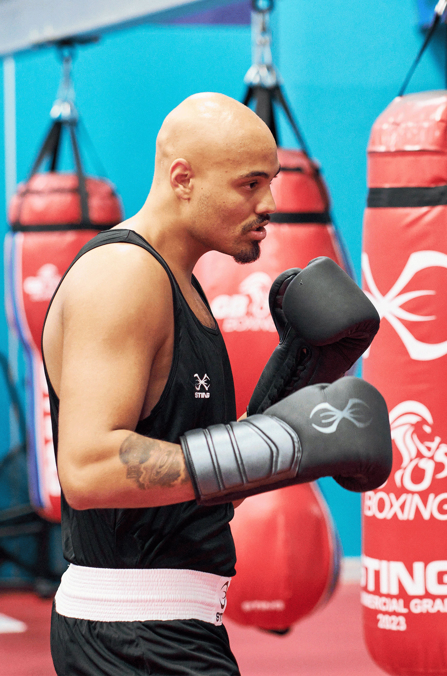 STING - Viper X Lace Up Sparring Gloves